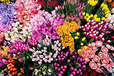 《赛博朋克2077：往日之影》总监将领导续作开发