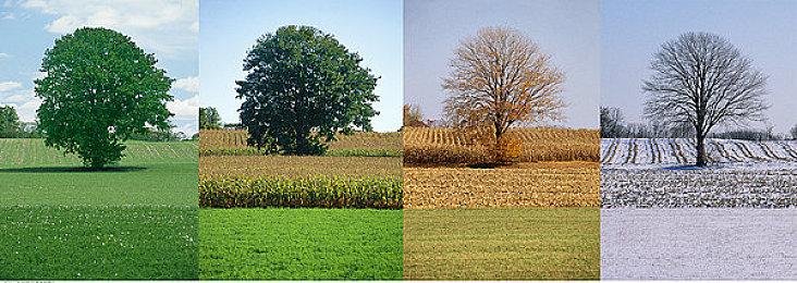 世上最强的袋鼠拳击手回归全平台！《袋鼠闯天关》5月27日重拳出击